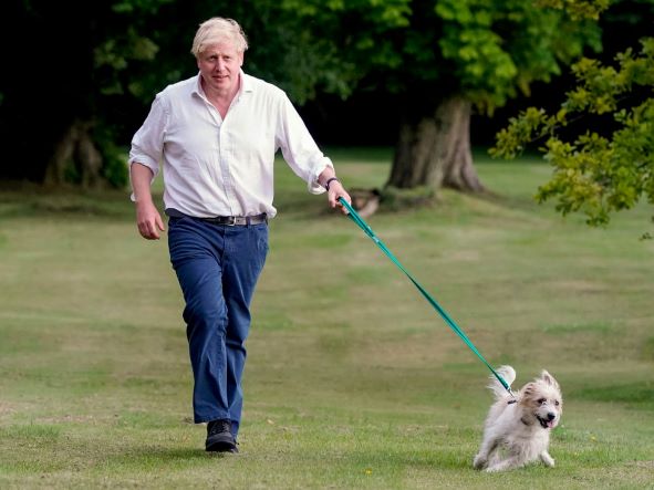 Overweight man with dog
